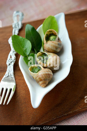 Lumaca su foglie di calce Foto Stock