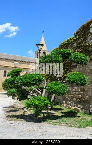 FOS SUR MER, BDR FRANCIA 13 Foto Stock