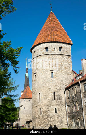 Torri medievali - parte della parete della città. Tallinn, Estonia Foto Stock