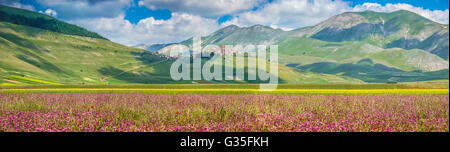 Bellissimo paesaggio estivo presso il Piano Grande con il villaggio di Castelluccio di Norcia e di montagna altopiano dell'Appennino, Umbria, Italia Foto Stock