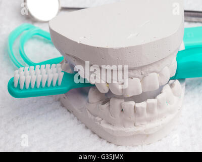 Igiene orale Il concetto di salute. Closeup blu specchio dello spazzolino da denti e lingua detergente con dentale modello in gesso Foto Stock