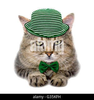 Gatto in un cappello verde e la cravatta a farfalla per isolati su sfondo bianco Foto Stock