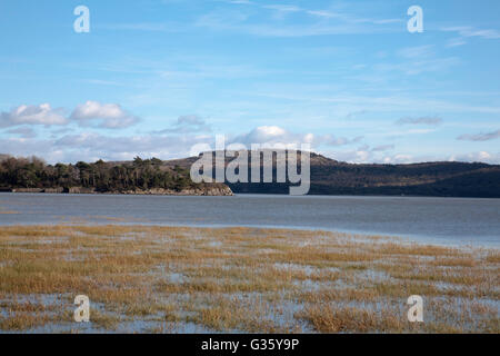 L'estuario del fiume Kent Holme Isola Grange-over-Sands Arnside Knott in distanza Morecambe Bay Cumbria Inghilterra England Foto Stock