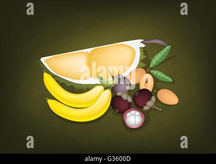 Frutti, illustrazione di deliziose mangostani, Banana, Durian e Sapodilla sulla lavagna verde. Illustrazione Vettoriale