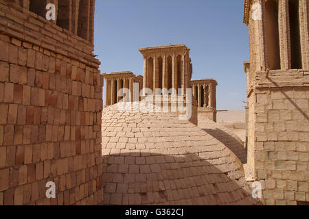 Cupola e torri del vento, il vento raffreddato serbatoio acqua nel deserto vicino a Yazd, Iran Foto Stock