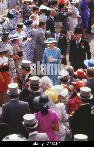 HRH Queen Elizabeth II nella Royal contenitore durante la settimana di gara a Ascot gare. Berkshire. In Inghilterra. Regno Unito. circa 1989 Foto Stock