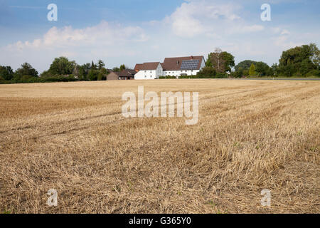 Campo di stoppie con casa colonica Foto Stock