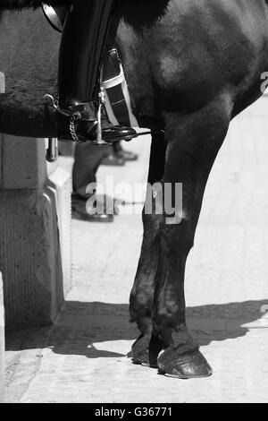 Le gambe di un membro della regina della casa della cavalleria (cavallo e protezione) e due poliziotti di Whitehall lato della sfilata delle Guardie a Cavallo. Foto Stock