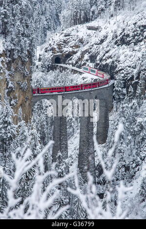 Bernina Express sul Landwasser Viadukt circondato da boschi innevati Filisur Cantone dei Grigioni Svizzera Europa Foto Stock
