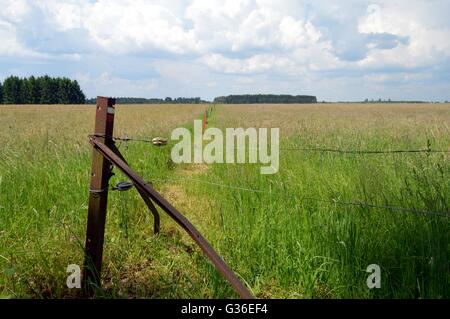 Angolo di una recinzione in ferro picchetti e filo spinato. Foto Stock