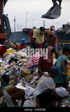 Tondo Squatters smistamento attraverso rifiuti, Manila, Filippine Foto Stock