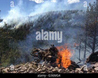 Fumo e fiamme salire dal nord erbosa fuoco nel Cibola National Forest Giugno 1, 2016 vicino a Albuquerque, Nuovo Messico. Foto Stock