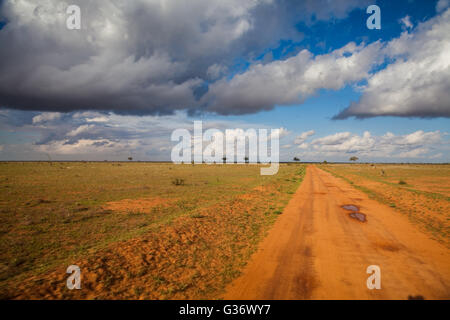 Vista incredibile di una strada in mezzo al nulla in Kenya Foto Stock