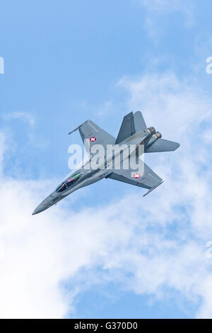 Swiss Air Force (Schweizer Luftwaffe) McDonnell Douglas F/A-18C Hornet J-5005 presso la RAF Airshow Waddington. Foto Stock
