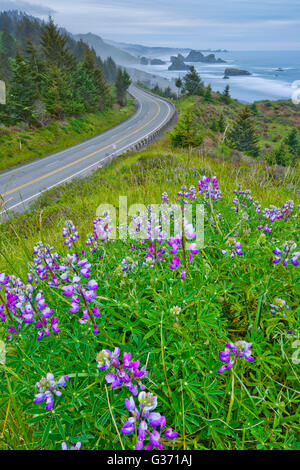 Pile di mare off Oregon Coast Foto Stock