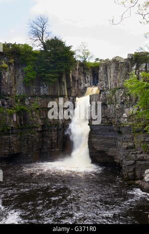 Forza elevata in cascata, Fiume Tees, Foresta-in-Teesdale, Durham Dales, Middleton in Teesdale, County Durham, Inghilterra, Regno Unito. Foto Stock