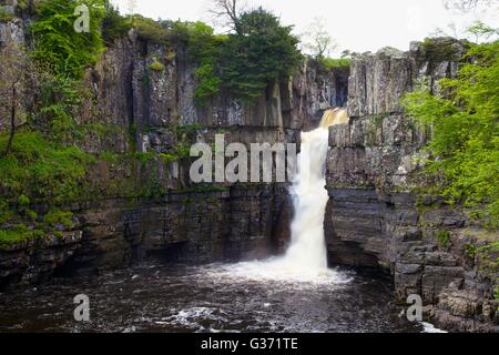 Forza elevata in cascata, Fiume Tees, Foresta-in-Teesdale, Durham Dales, Middleton in Teesdale, County Durham, Inghilterra, Regno Unito. Foto Stock
