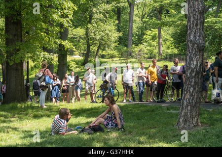 Biglietto gratuito linee presso il Delacorte Theater di Central Park di New York Foto Stock