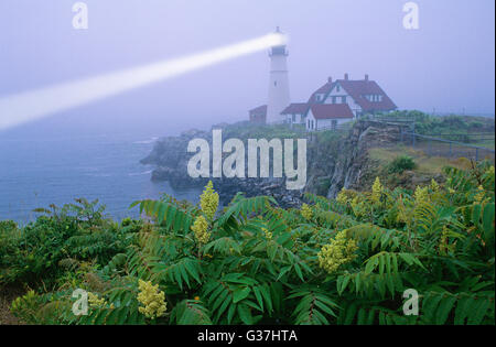 Portland Head Lighthouse, Maine, U.S.A. Foto Stock