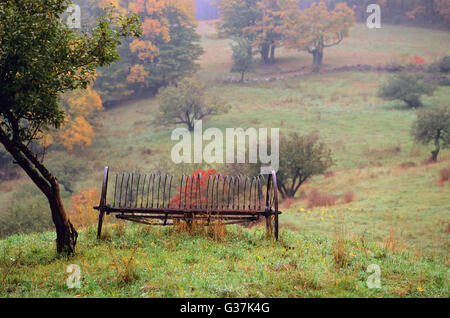 Vecchio rastrello di fieno in un campo, Vermont, U.S.A. Foto Stock