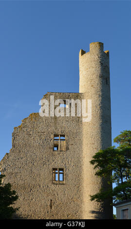 Le rovine del castello di Hoher Schwarm, Saalfeld, Turingia, Germania Foto Stock