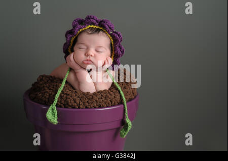 A due settimane di età neonato ragazza dorme in un imporpori fiore pot. Indossa una maglia del cofano di fiori. Girato in studio o Foto Stock