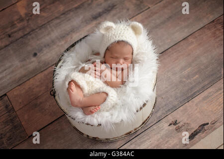 Un overhead shot di un undici giorni di età neonato ragazza dorme in un secchio di legno. Indossa una maglia, orso bianco bonn Foto Stock