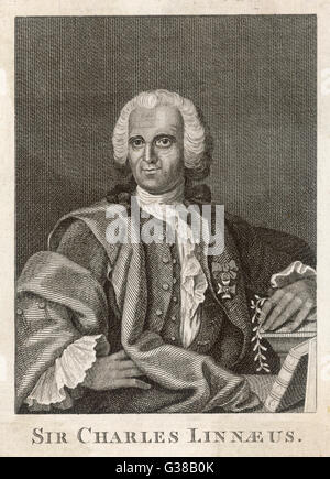 CARL VON LINNE noto come LINNAEUS Foto Stock