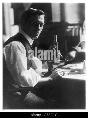 SIR Alexander Fleming - Scottish bacteriologist alla sua scrivania con il suo microscopio. Data: 1881 - 1955 Foto Stock