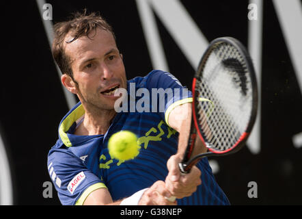 Stuttgart, Germania. 09 Giugno, 2016. Radek STEPANEK: risultati nei della Repubblica ceca gioca contro Cilic di Croazia durante l'ATP torneo di tennis presso il Weissenhof a Stoccarda, Germania, 09 giugno 2016. Foto: MARIJAN MURAT/dpa/Alamy Live News Foto Stock