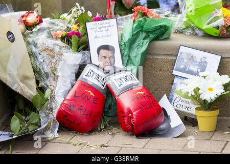 Louisville, Kentucky, Stati Uniti d'America. 5 Giugno, 2016. Il leggendario Heavyweight Boxing champion Muhammad Ali, a Louisville, KY. native, è morto venerdì, 3 giugno 2016. Dipinti murali e omaggi che potrebbe essere visto in tutta la sua città natale come persone in lutto per la carismatica figura di sport. © Jonathan Palmer/ZUMA filo/Alamy Live News Foto Stock