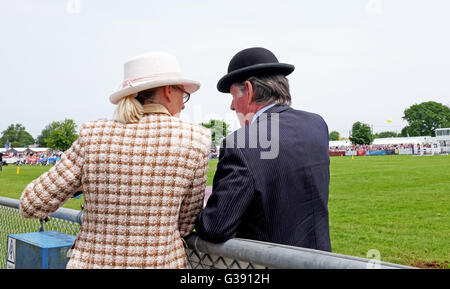 Southampton, Sussex, Regno Unito. Il 10 giugno 2016. La folla godetevi il sud dell'Inghilterra spettacolo presso il Southampton Showground nel Sussex oggi . Quest anno il tema è "Anno della Pecora' e migliaia di visitatori sono attesi nel corso dei tre giorni di credito: Simon Dack/Alamy Live News Foto Stock