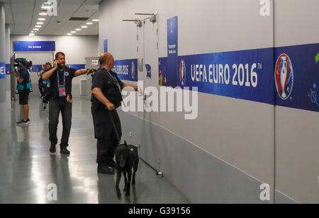 Cooperazione di polizia con sniffer dog controlla i fotografi e area media nello stadio FRANCIA - ROMANIA Calcio Campionati Europei al 6 giugno 2016 a Parigi, allo Stade de France. Credito: Peter Schatz / Alamy Live News Foto Stock