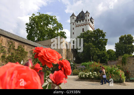 Castello, Eltville, Hesse, Germania Foto Stock