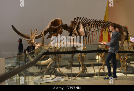 Il Royal Ontario Museum, Queen's Park, Toronto, Ontario, Canada Foto Stock
