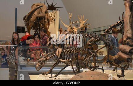 Il Royal Ontario Museum, Queen's Park, Toronto, Ontario, Canada Foto Stock