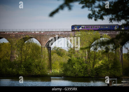 Reddish Vale viadotto Stockport country park sedici-arch viadotto in mattoni costruito nel 1875 per portare la speranza della linea a valle al di sopra della TA Foto Stock