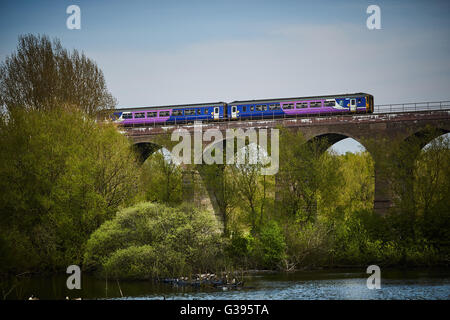 Reddish Vale viadotto Stockport country park sedici-arch viadotto in mattoni costruito nel 1875 per portare la speranza della linea a valle al di sopra della TA Foto Stock