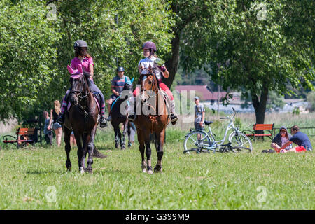 Suprasl , Polonia - 5 Giugno 2016 : la ricreazione a cavallo . Una giovane ragazza è a capo di un gruppo di piloti Foto Stock