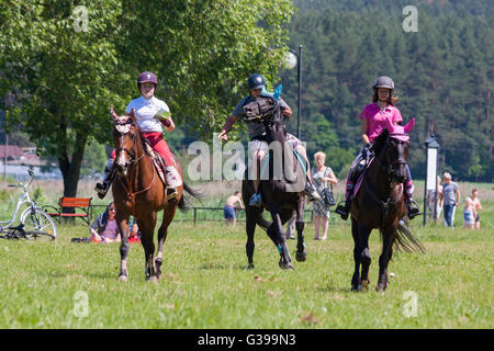 Suprasl , Polonia - 5 Giugno 2016 : la ricreazione a cavallo . Una giovane ragazza è a capo di un gruppo di piloti Foto Stock