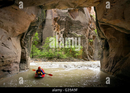 Paddler sotto una sporgenza profonda, Sion si restringe nel Parco Nazionale di Zion, Utah. Foto Stock