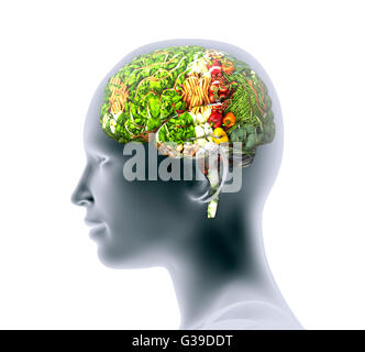 X-ray di testa umana con la frutta e la verdura per il cervello. Foto Stock