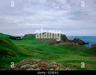 Kirk Hill, St Abb di testa, Berwickshire: sito di Colodaesburg Anglian fort & St Aebbe (EBBA) C7th monastero distrutto dai danesi in C9th. Foto Stock