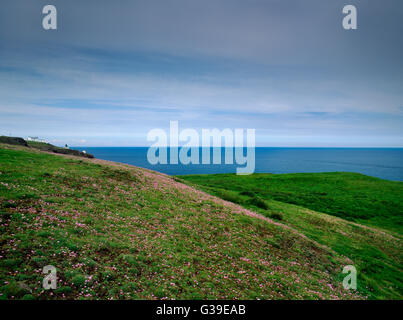 St Abb di testa (L), Kirk Hill (R): Sito di Colodaesburg Anglian fort & St Aebbe C7th monastero distrutto dai danesi in C9th. Foto Stock