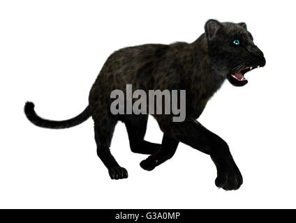3D rendering di un gatto grande black panther isolati su sfondo bianco Foto Stock