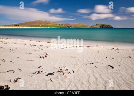 Sumburgh head, isole Shetland Foto Stock