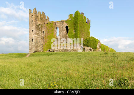 Il castello di Ballycarberry, vicino a Cahersiveen, Ring of Kerry, Irlanda Foto Stock