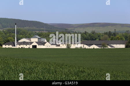 Vista in lontananza Fettercairn distillery Aberdeenshire Scozia Giugno 2016 Foto Stock