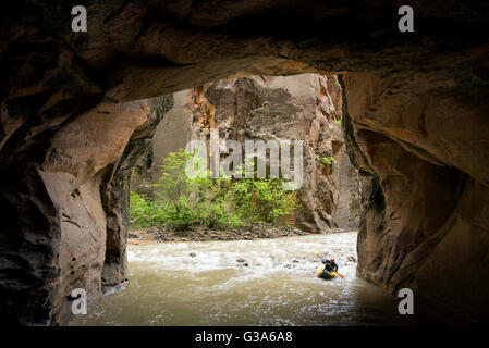 Paddler sotto una sporgenza profonda, Sion si restringe nel Parco Nazionale di Zion, Utah. Foto Stock