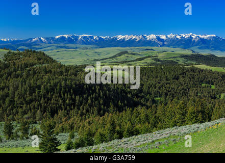 Gamma absaroka visto da colline sopra Yellowstone Valley vicino a springdale, montana Foto Stock